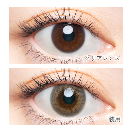 バンビヴィンテージ ヴィンテージグレージュ (10枚入り) 益若つばさ