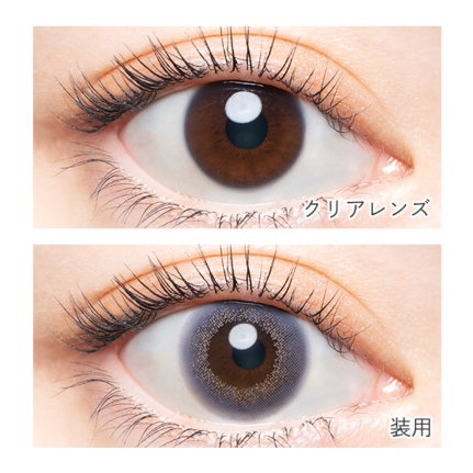 バンビヴィンテージ ヴィンテージラベンダー (10枚入り) 益若つばさ