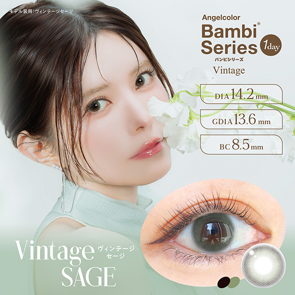 AngelColor Bambi Series（エンジェルカラー バンビシリーズ