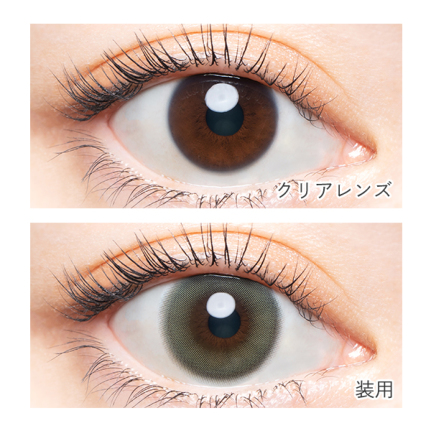 バンビヴィンテージ ヴィンテージセージ (10枚入り) 益若つばさ