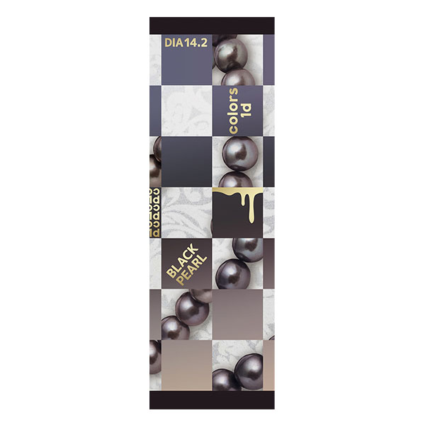 �J���[�Y�����f�[ �u���b�N�p�[�� ������C���[�W���f�� �i10������j