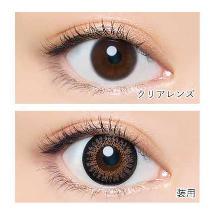 AngelColor Bambiシリーズ1day (バンビワンデー) ショコラ 益若つばさ