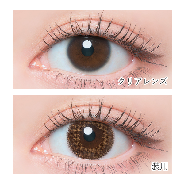 FLANMY 1day チョコタルト 佐々木希イメージモデル (10枚入り