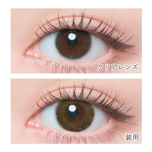 FLANMY 1day マッチャタルト 佐々木希イメージモデル (10枚入り