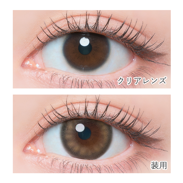 FLANMY t~[ ~Nv X؊C[Wf (10)