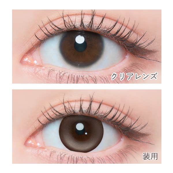 FLANMY �t�����~�[ �V���K�[�`�����X ���X�؊�C���[�W���f�� (10������)