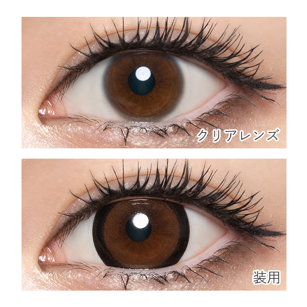 loveil Toric 1day （ラヴェールトーリック） ブラックビジュー CYL