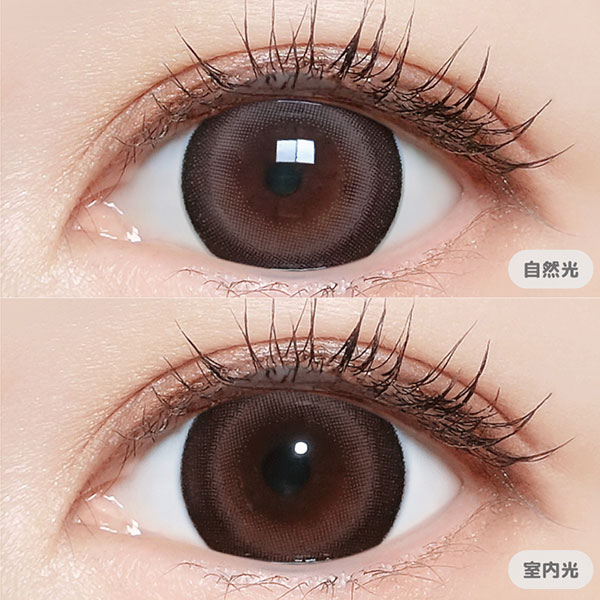 Majette RELAX 1day�i�}�W�F�b�g�����b�N�X�j �}���A�[�W���u���E�� �O��I���v���f���[�X�i10������j