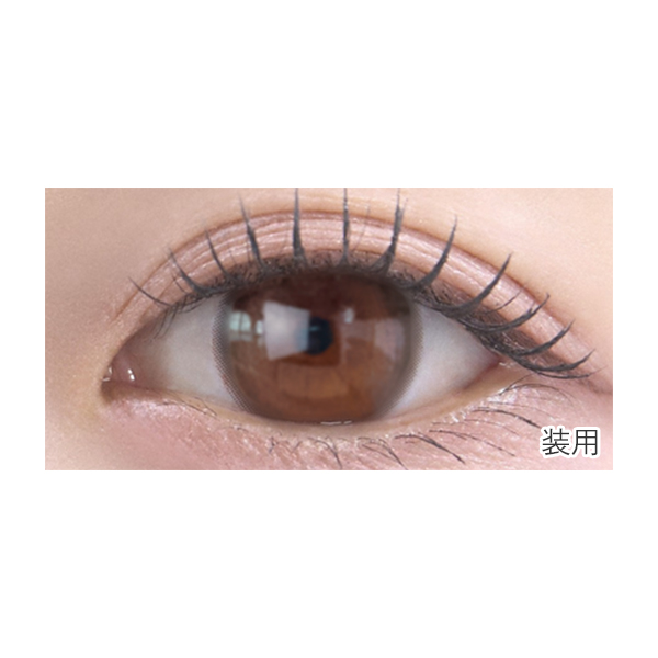 meilly chiffon 1day�i���C���[�V�t�H���j�V�t�H���u���E�� �X�����C���[�W���f���i10������j