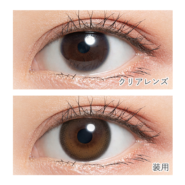 mimuco（ミムコ）ココトリュフ かわにしみきプロデュース（10枚入り