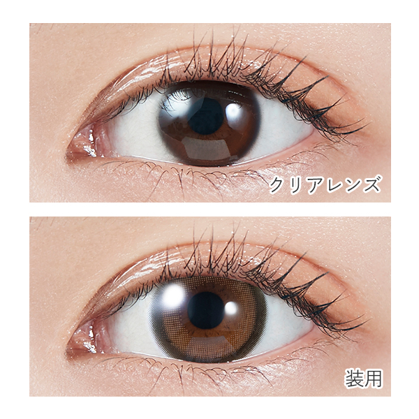 MOLAK 1day（モラクワンデー） ブラウンバニー 宮脇咲良プロデュース