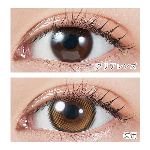 モグワン MOLAK 1day（モラクワンデー） ブラウンバニー 宮脇咲良プロデュース