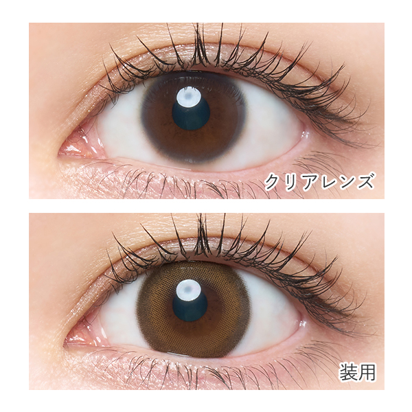 melotte TORIC 1day （メロットトーリック） シークレットベア CYL