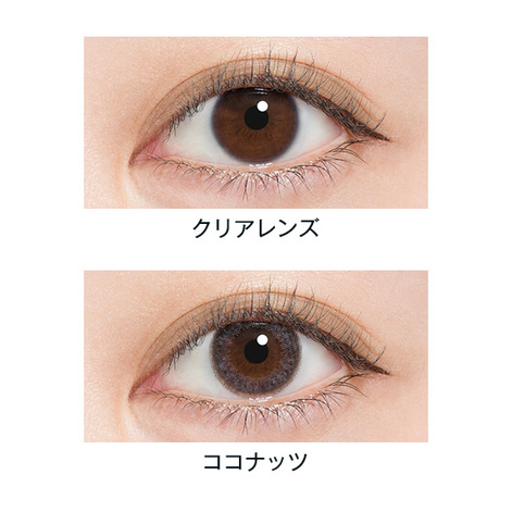 N's COLLECTION（エヌズコレクション） ココナッツ 渡辺直美