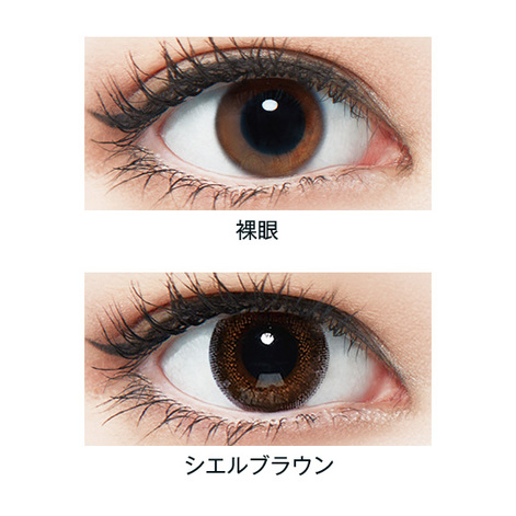 Neo Sight 2week CielUV シエルブラウン(6枚入り)｜カラコン・コスメ