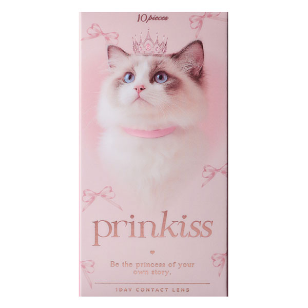 prinkiss 1day�i�v�����L�X�j���[�W�[�L�X ���C���[�W���f���i10������j