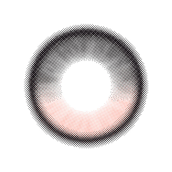 Quprie�i�L���v���G�j���[�J�����A R�����v���f���[�X�i10������j