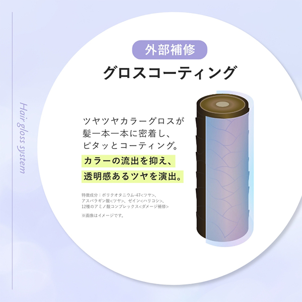 rasica ラシカ シースルーグロス 【WARM】シャンプー&トリートメント