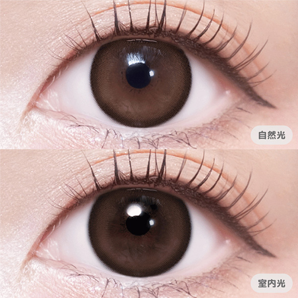 Velvetear 1day（ヴェルヴェティア） ブーケブラウン えみ姉