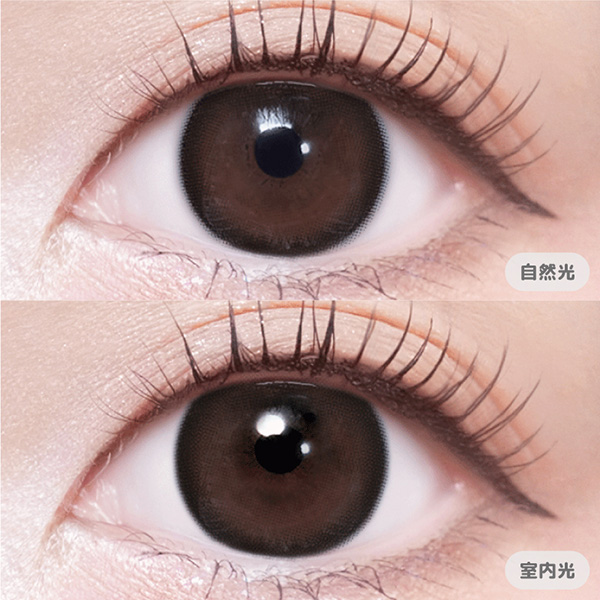 Velvetear 1day（ヴェルヴェティア） モカヴェール えみ姉プロデュース